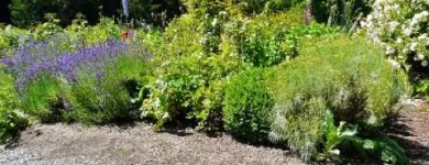 Unternehmen 3 Bild RÖVER GARTENCON GARTEN- UND LANDSCHAFTSBAU Gartenbauunternehmen, Landschaftsbauunternehmen am Münster NW