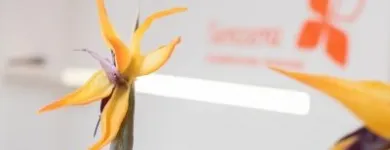 Unternehmen 1 Bild SENZERA WAXINGSTUDIO MÜNCHEN Kosmetiksalons am München BY