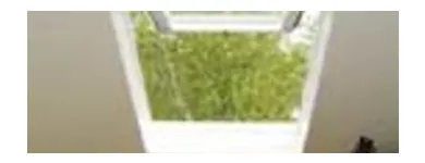 Unternehmen 1 Bild SW-DACHFENSTERSERVICE Spezialbauunternehmen am Rodgau HE