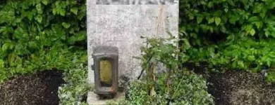 Unternehmen 1 Bild SYLVIA HELD FRIEDHOFSGARTENBAU GÄRTNER BLUMEN | MÜNCHEN Produktion und Vertrieb von Pflanzen am München BY