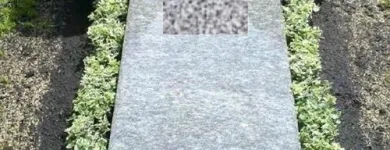 Unternehmen 2 Bild SYLVIA HELD FRIEDHOFSGARTENBAU GÄRTNER BLUMEN | MÜNCHEN Produktion und Vertrieb von Pflanzen am München BY