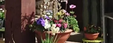 Unternehmen 15 Bild SYLVIA HELD FRIEDHOFSGARTENBAU GÄRTNER BLUMEN | MÜNCHEN Produktion und Vertrieb von Pflanzen am München BY