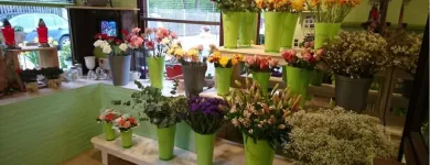 Unternehmen 16 Bild SYLVIA HELD FRIEDHOFSGARTENBAU GÄRTNER BLUMEN | MÜNCHEN Produktion und Vertrieb von Pflanzen am München BY