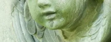 Unternehmen 19 Bild SYLVIA HELD FRIEDHOFSGARTENBAU GÄRTNER BLUMEN | MÜNCHEN Produktion und Vertrieb von Pflanzen am München BY