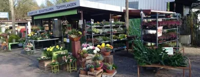 Unternehmen 23 Bild SYLVIA HELD FRIEDHOFSGARTENBAU GÄRTNER BLUMEN | MÜNCHEN Produktion und Vertrieb von Pflanzen am München BY