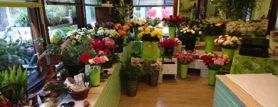 Unternehmen 24 Bild SYLVIA HELD FRIEDHOFSGARTENBAU GÄRTNER BLUMEN | MÜNCHEN Produktion und Vertrieb von Pflanzen am München BY