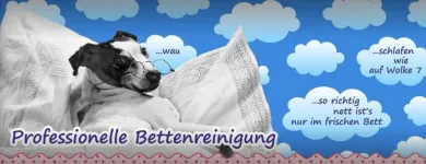 Unternehmen 5 Bild TEXTILREINIGUNG MAYLAHN Service & Dienstleistung am Zwickau SN
