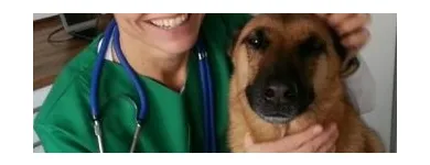 Unternehmen 2 Bild TIERARZTPRAXIS HIDDESEN Ärzte am Detmold NW