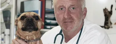 Unternehmen 2 Bild TIERARZTPRAXIS TRUDERING DR. HORST MÖRITZ | MÜNCHEN Ärzte am München BY