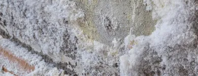 Unternehmen 13 Bild WIRMACHENTROCKEN BAUTROCKNER-VERMIETUNG Verleihunternehmen, Vermietungsunternehmen, Vermittlungsunternehmen am Augsburg BY