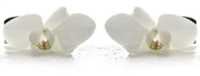 Unternehmen 2 Bild ZAHNARZT DR. JIRINA HOUDEK | MÜNCHEN SCHWABING Ärzte am München BY