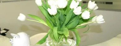 Unternehmen 4 Bild ZAHNARZT MÜNCHEN SCHWABING - MUDR. JIRINA HOUDEK Ärzte am München BY