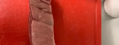 Unternehmen 4 Bild ZAUSSENMÜHLE Steakhäuser am Pegnitz BY