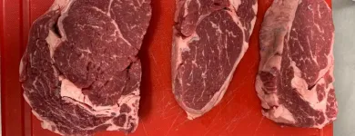 Unternehmen 5 Bild ZAUSSENMÜHLE Steakhäuser am Pegnitz BY