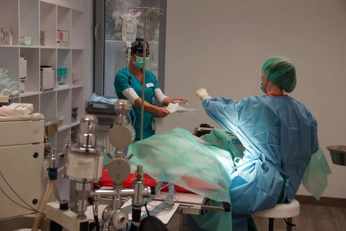 Unternehmen 3 Bild ZENTRUM FÜR KLEINTIERMEDIZIN MÜNCHEN