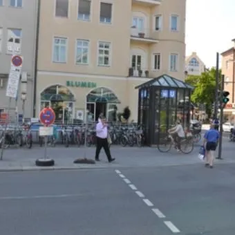 Unternehmen 3 Bild BLUMEN MAAß