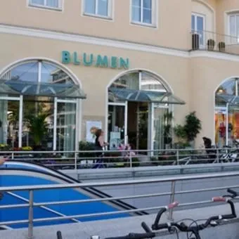 Unternehmen 1 Bild BLUMEN MAAß