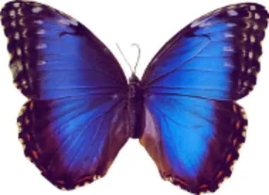 Unternehmen 18 Bild PRAXIS HARTMUT MÜNCHEN