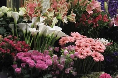 Unternehmen 5 Bild A+A BLUMEN MEISTER GMBH