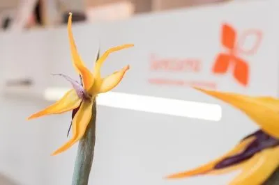 Unternehmen 1 Bild SENZERA WAXINGSTUDIO MÜNCHEN