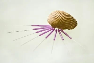 Unternehmen 3 Bild FRAUENARZTPRAXIS DR. STROTH - NATALIA EGOROVA