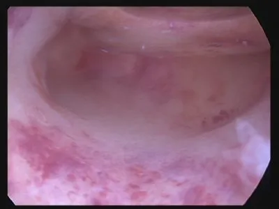 Unternehmen 13 Bild FRAUENARZTPRAXIS DR. STROTH - NATALIA EGOROVA