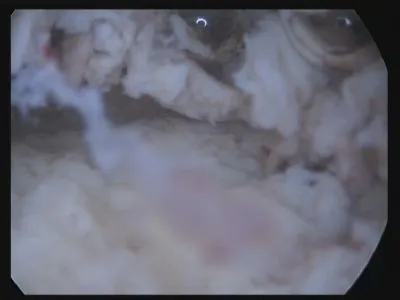 Unternehmen 17 Bild FRAUENARZTPRAXIS DR. STROTH - NATALIA EGOROVA