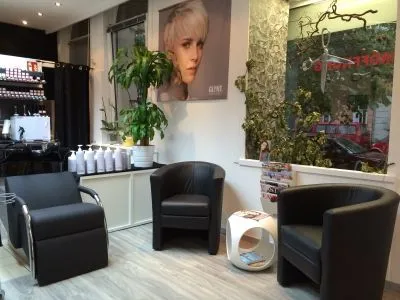 Unternehmen 4 Bild HAIR PLEASURE TATJANA SEREMET FRISEUR