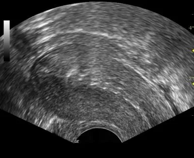 Unternehmen 16 Bild FRAUENARZTPRAXIS DR. STROTH - NATALIA EGOROVA