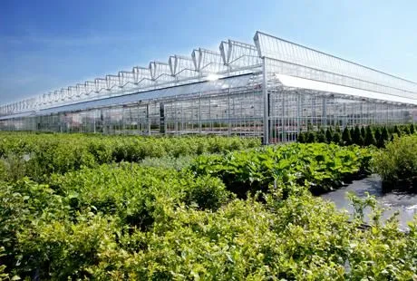 Unternehmen 9 Bild GARTENCENTER SEEBAUER