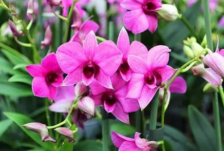 Unternehmen 10 Bild GARTENCENTER SEEBAUER