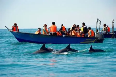 Unternehmen 15 Bild EASYPERSIA