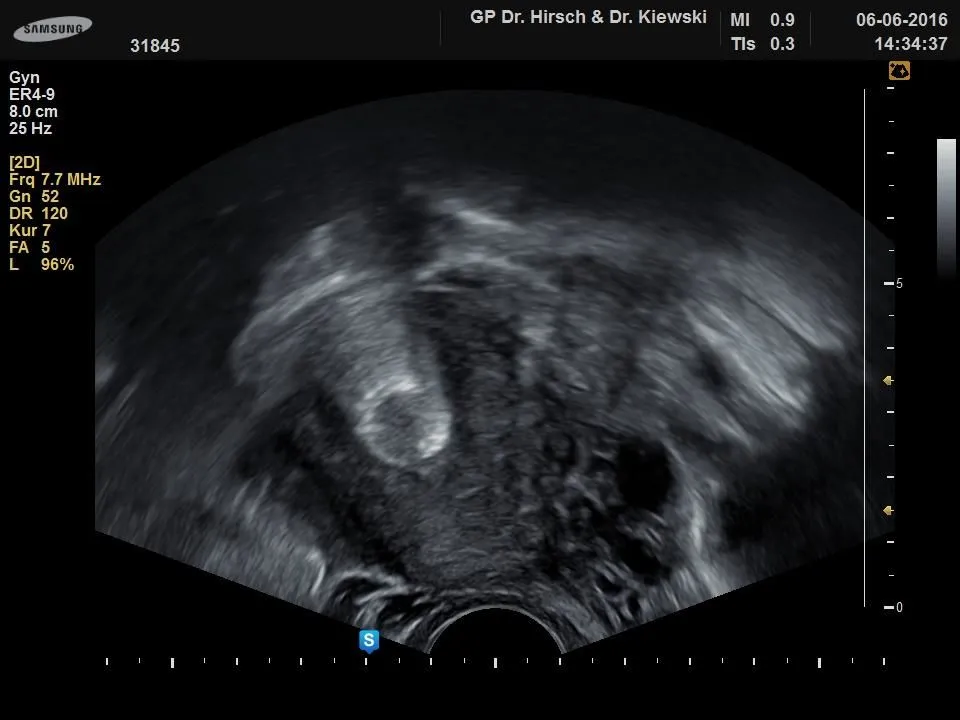 Unternehmen 9 Bild FRAUENARZTPRAXIS DR. STROTH - NATALIA EGOROVA