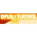 OPUS FURORE LIERMANN/BRAUN am Berlin BE