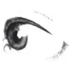 HAYDN PETER DR. MED.