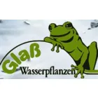 GLAß GARTENGESTALTUNG / GLAß WASSERPFLANZEN
