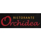 PIZZERIA ORCHIDEA